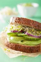 sanduíche de centeio saudável com brotos de alfafa de pepino abacate foto