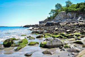 rochas cobertas de musgo e algas na costa do maine foto