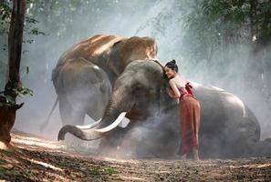 elefante com linda garota na zona rural asiática, tailândia - elefante tailandês e linda mulher com vestido tradicional na região de surin foto