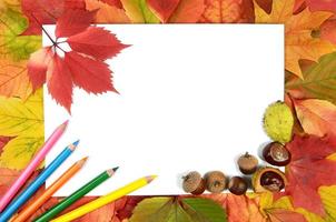 folhas de outono lápis e folha de papel foto