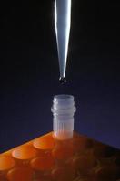 líquido de transferência de conta-gotas para pesquisa biotecnológica foto