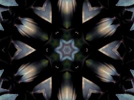 padrão de caleidoscópio preto e branco. abstrato. foto grátis.