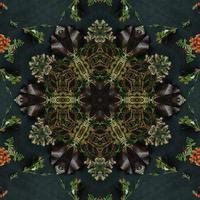 fundo retangular abstrato verde escuro. padrão de caleidoscópio de abeto. fundo livre. foto