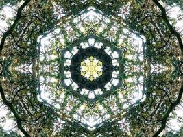 fundo retangular abstrato verde escuro. padrão de caleidoscópio de floresta densa. fundo livre. foto