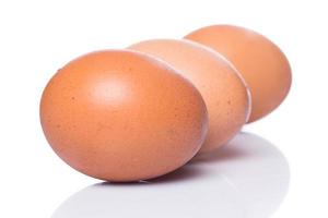 ovos marrons em fundo branco foto