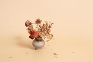 vaso em miniatura com flores secas. conceito de cor neutra minimalista monocromático de natureza morta foto