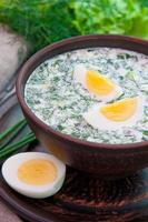 sopa fria de kefir de legumes com ovos e verduras foto
