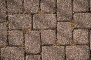 pavimento antigo com textura de musgo foto