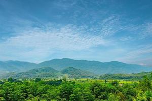 paisagem de árvore, montanha e céu azul para fundo ou banner de verão foto