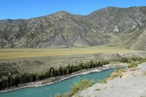 a natureza de altai. rio azul katun foto