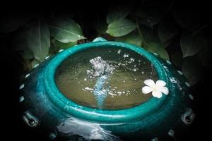 uma flor de plumeria branca flutua na cerâmica de água verde. conceito de jardim spa. foto