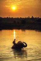 mahout clearing foto