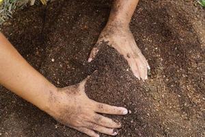 os agricultores misturam o solo para cultivar. fornecer os minerais que as plantas precisam está crescendo rápido e forte. foto