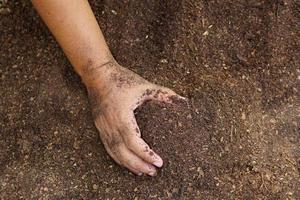 os agricultores misturam o solo para cultivar. fornecer os minerais que as plantas precisam está crescendo rápido e forte. foto