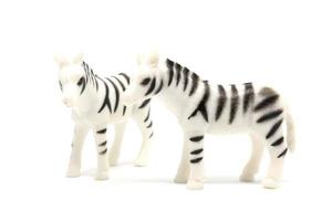 modelo de zebra isolado no fundo branco, plástico de brinquedos de animais foto
