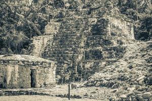 antigo local maia com templo ruínas pirâmides artefatos muyil méxico. foto