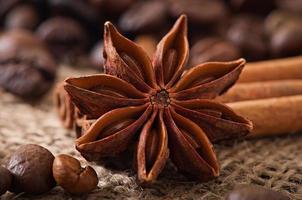 anis, canela e grãos de café em fundo de madeira velho foto