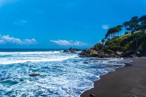 praia com mar azul e árvores na praia foto