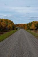 estrada rural nas pradarias canadenses no outono. foto