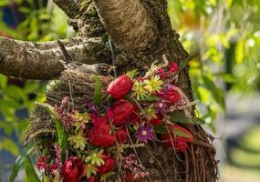 robin americano em um ninho construído em uma coroa de flores foto