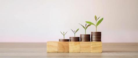 o conceito de desenvolvimento financeiro e crescimento de negócios com árvores que crescem em moedas. foto