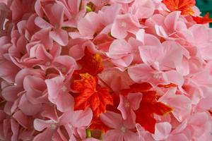 grupo decoração de flores cor de rosa colorfui e fundos de desfoque suave foto
