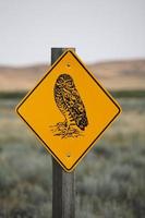 sinal de estrada da coruja buraqueira na cênica saskatchewan foto