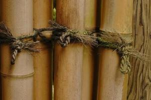 nó apertado no bambu