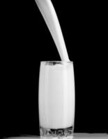 copo de leite no preto