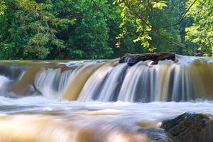 a água cai na floresta tropical com rocha e árvore foto