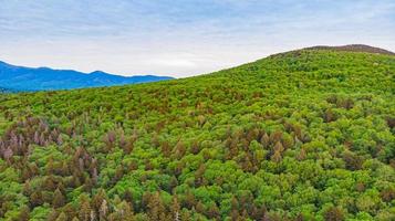 a vista angular da montanha com árvores marrons escuras foto