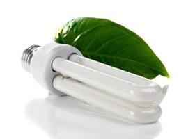 lâmpada e folha verde foto