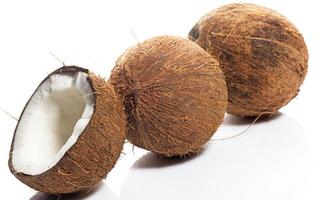 cocos em fundo branco