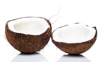 cocos em fundo branco foto