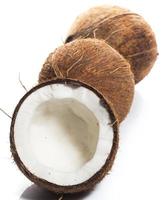 cocos em fundo branco