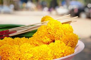 flores de calêndula são usadas para adorar o senhor Buda. foto