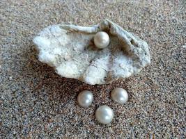 concha do mar com uma pérola na areia foto
