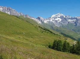 prado alpino nas montanhas foto