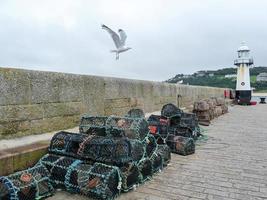 gaivota em voo no porto com armadilhas de um pescador foto