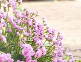 buquê roxo ao longo da passarela, refrescante no jardim público foto