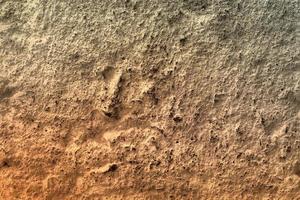 fundo de pedra vintage, copie o espaço. textura de pedra de concreto cinza, modelo de lugar de texto. foto