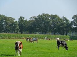 Bredevoort na Holanda foto