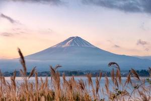 monte fuji-san com prado dourado no lago kawaguchiko ao nascer do sol foto