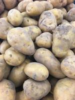batatas orgânicas frescas no mercado foto