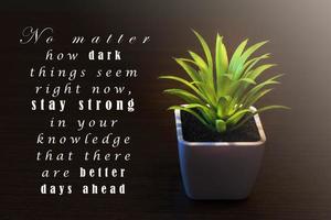 citação motivacional e inspiradora em fundo escuro com vaso de plantas foto