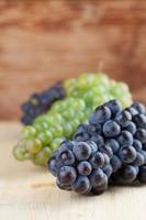 cachos de uvas azuis e verdes