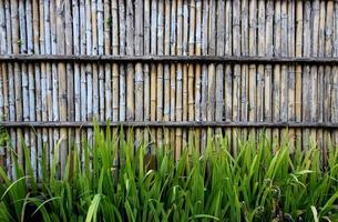 parede de bambu com grama na parte inferior foto