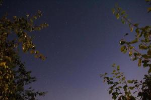 céu escuro emoldurado em uma noite clara nas montanhas entre árvores foto