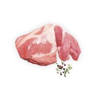 carne de porco fresca crua isolada no fundo branco foto