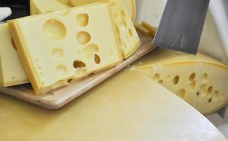 queijo artesanal tradicional foto